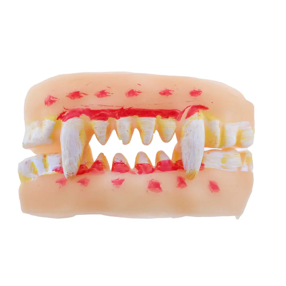 Spooky Fake Teeth 1pc (4 Assorted Designs) Halloween