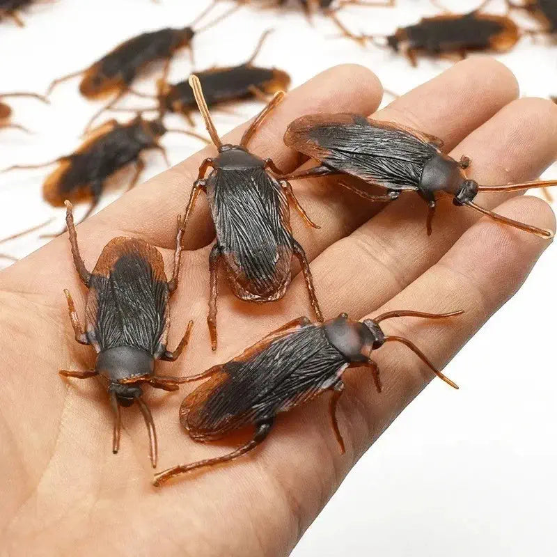 10 Fake Plastic Cockroaches 6.5cm Halloween Decorations
