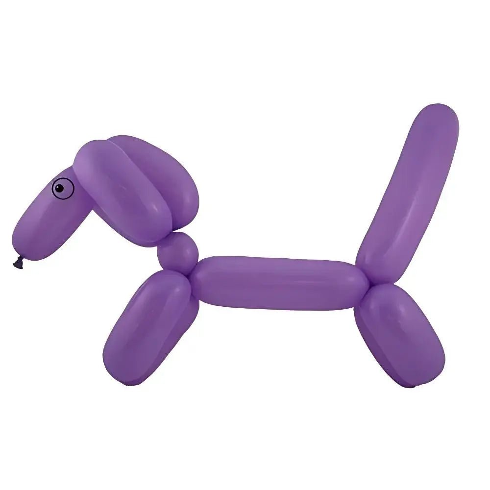 Assorted Modelling Latex Balloons 20pk Twist & Shape - NextParty